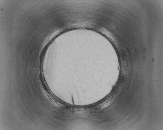 X0000062640486200601181748