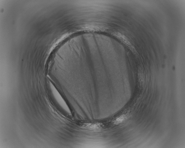 X0000062640488200601181748