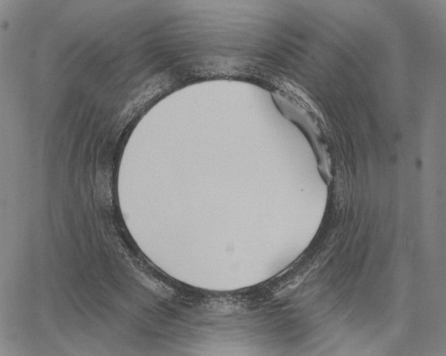 X0000062640489200601181748