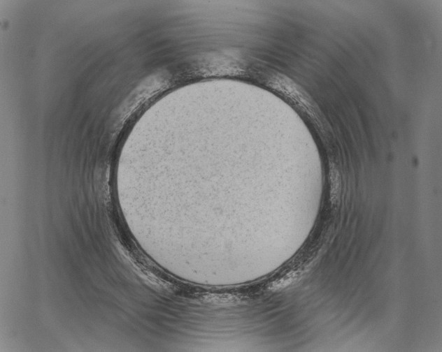 X0000062640490200601181748