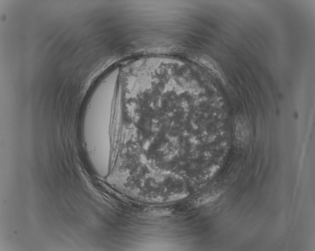 X0000062640491200601181748