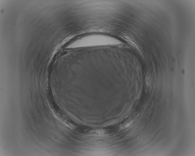 X0000062640492200601181748