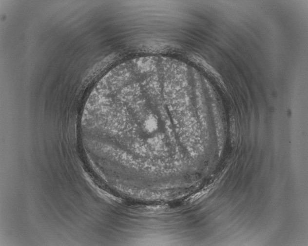 X0000062640493200601181748