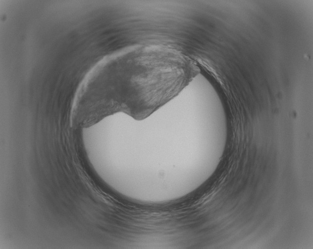 X0000062640495200601181748