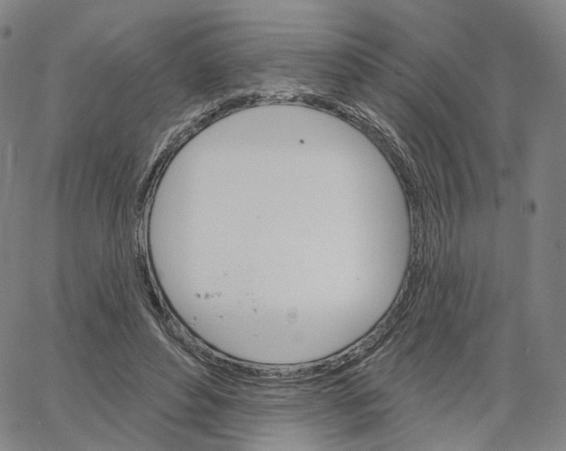 X0000062640496200601181748