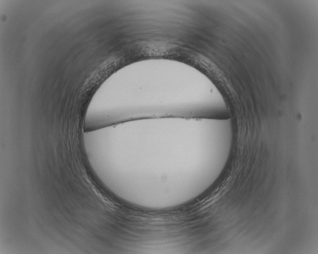 X0000062640497200601181748