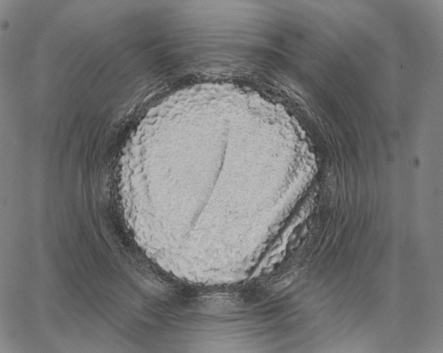 X0000062640499200601181748