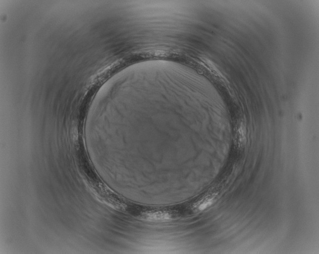 X0000062640500200601181748