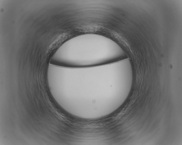 X0000062640501200601181748