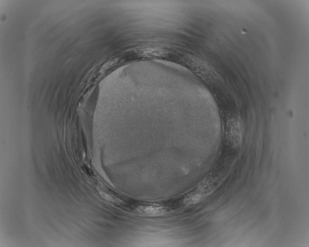 X0000062640506200601181748