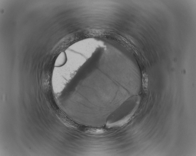 X0000062640507200601181748