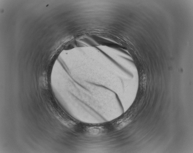 X0000062640508200601181748