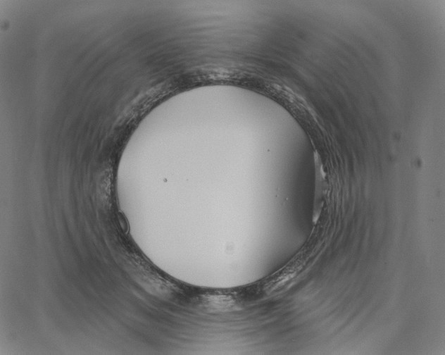 X0000062640509200601181748