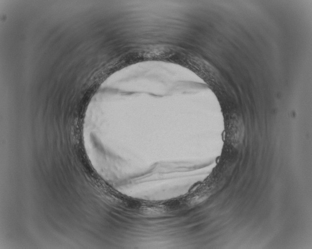 X0000062640510200601181748