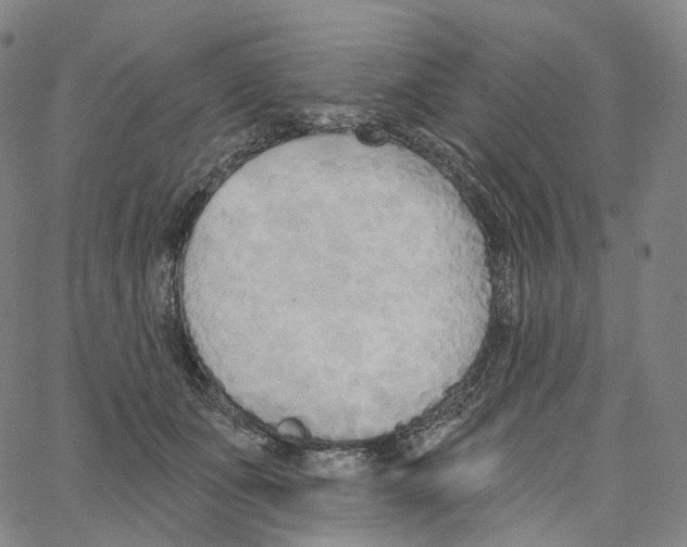 X0000062640511200601181748