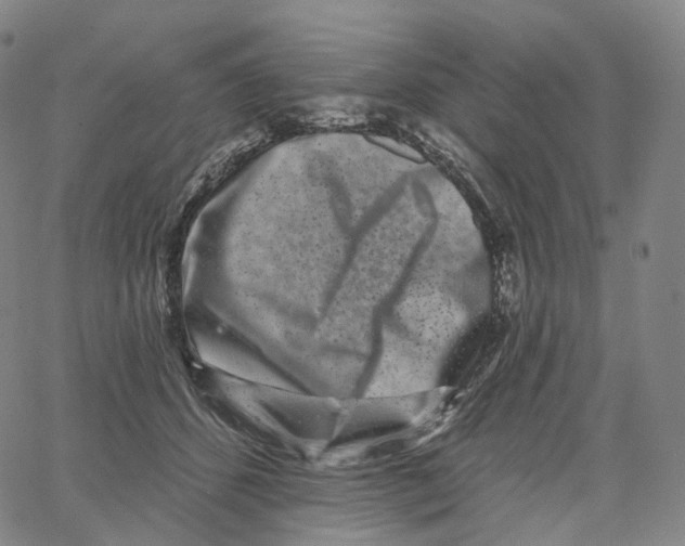 X0000062640512200601181748