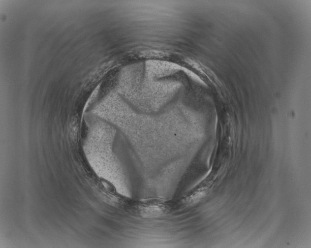 X0000062640513200601181748