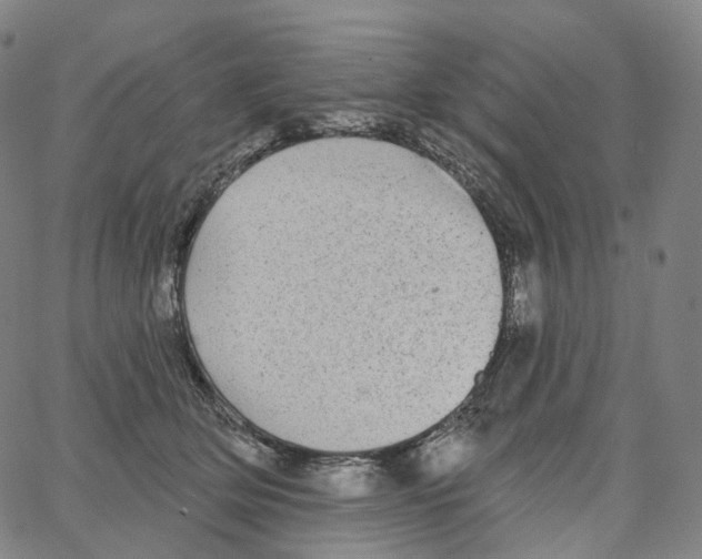 X0000062640514200601181748