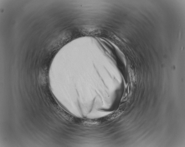 X0000062640515200601181748