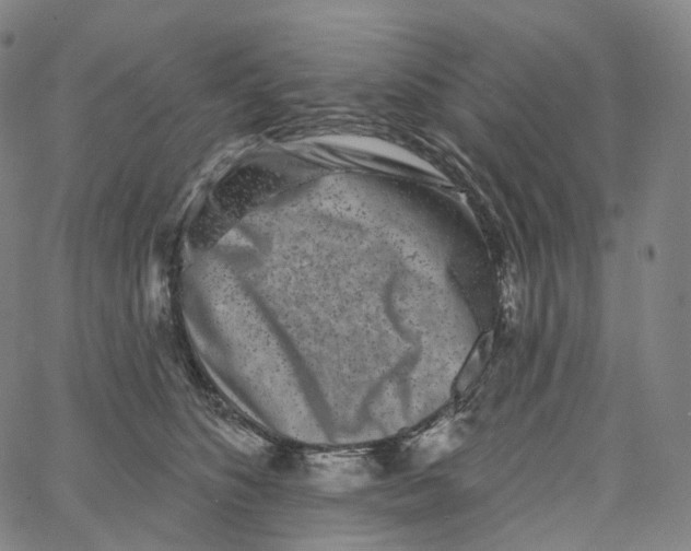 X0000062640516200601181748