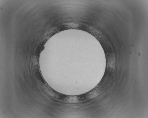 X0000062640518200601181748