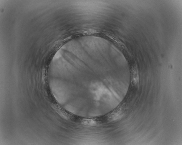 X0000062640519200601181748