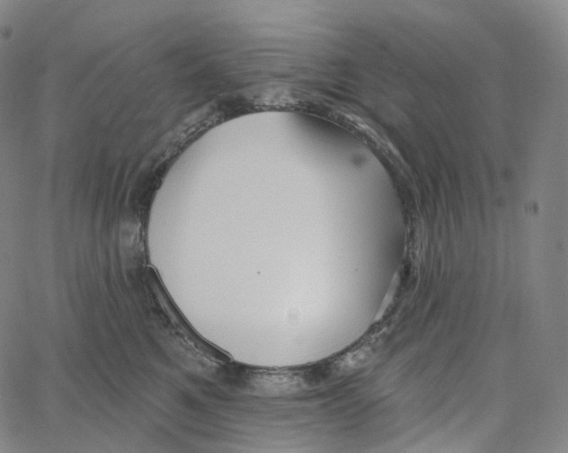 X0000062640521200601181748