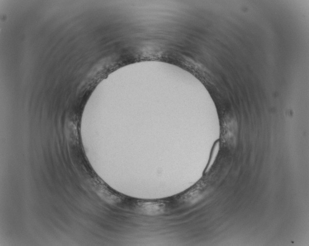 X0000062640522200601181748