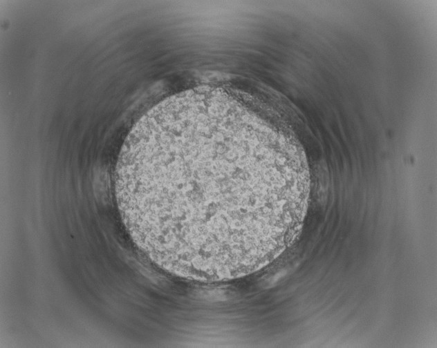 X0000062640523200601181748