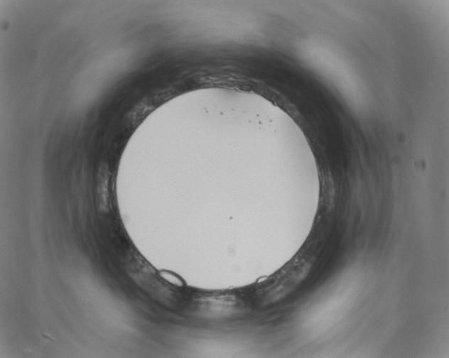 X0000062640525200601181748