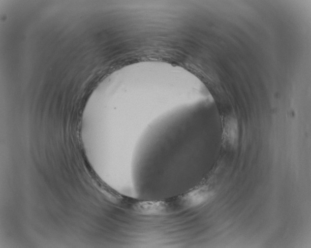 X0000062640526200601181748