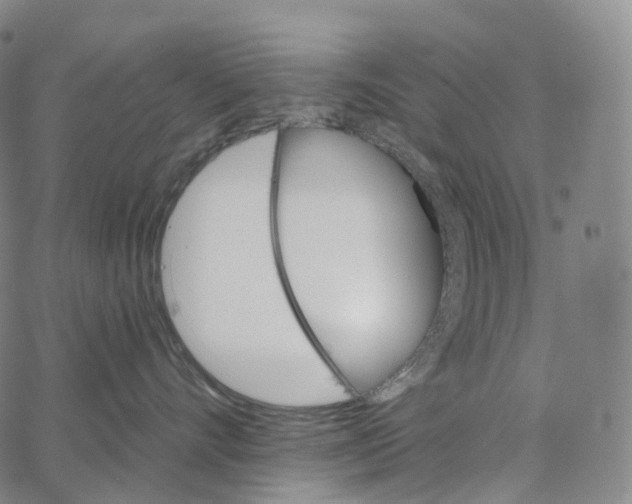 X0000062640528200601181748