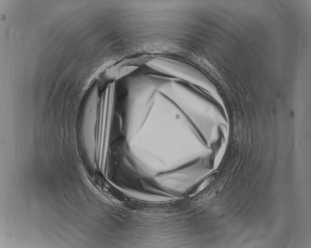 X0000062640530200601181747