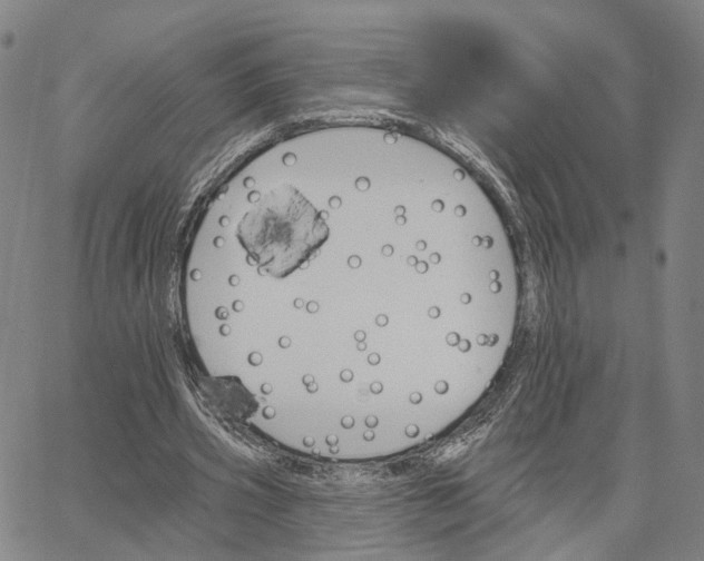 X0000062640533200601181747