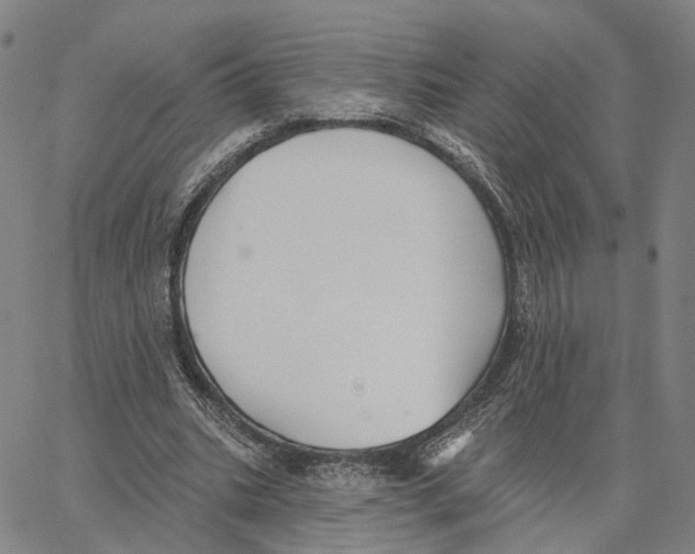 X0000062640535200601181747