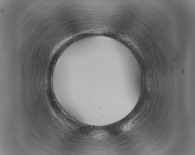 X0000062640536200601181747