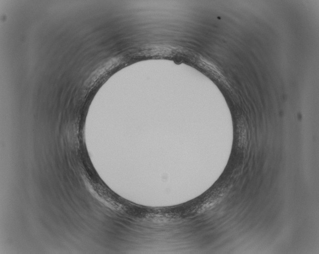 X0000062640538200601181747