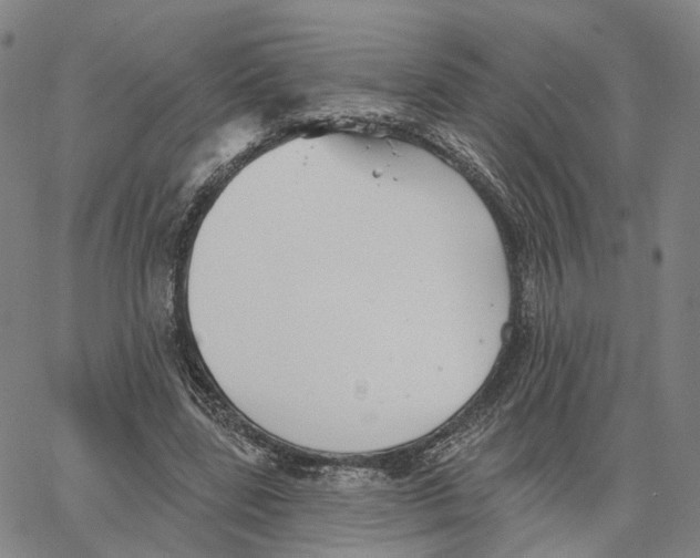 X0000062640539200601181747