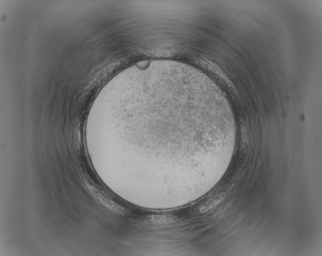 X0000062640541200601181747