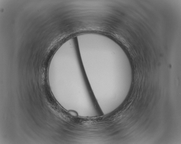 X0000062640544200601181747