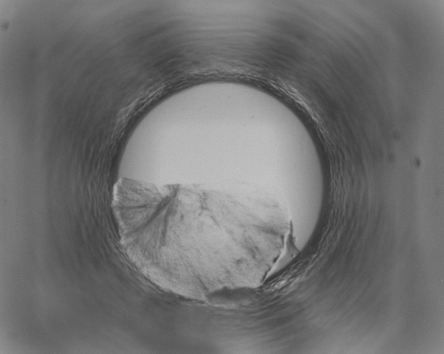 X0000062640545200601181747