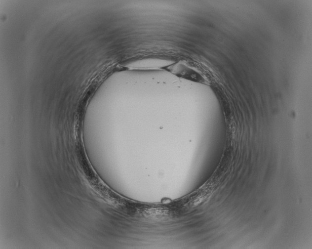 X0000062640546200601181747