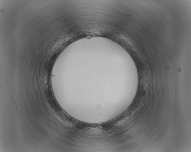 X0000062640548200601181747