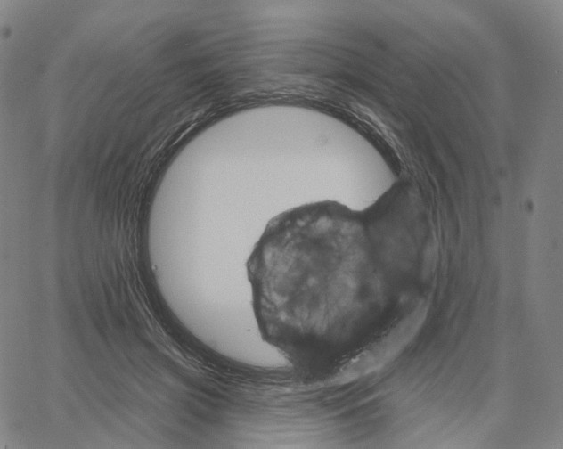 X0000062640549200601181747