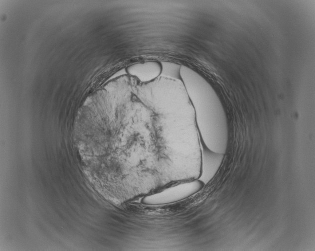 X0000062640550200601181747