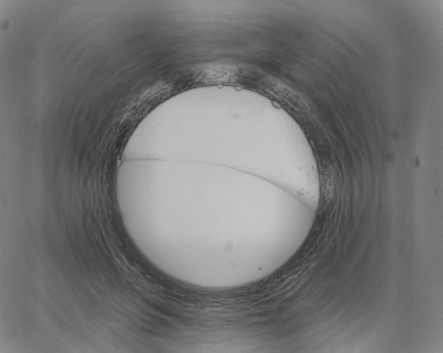 X0000062640551200601181747