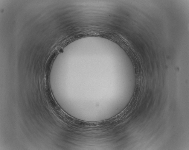 X0000062640552200601181747