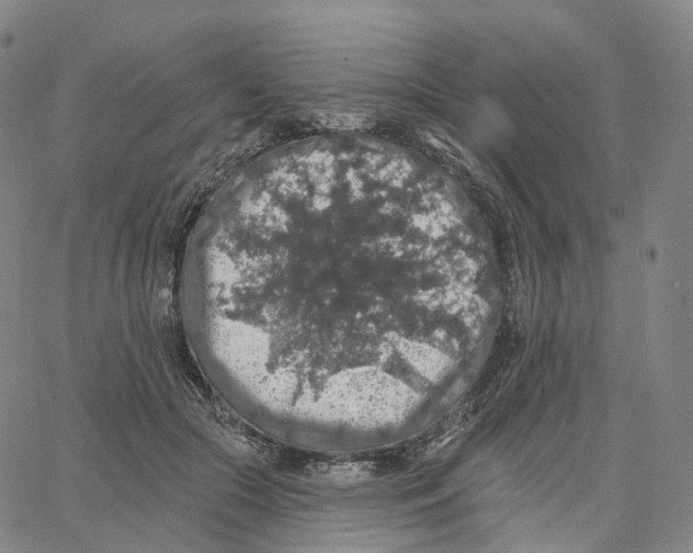 X0000062640553200601181747