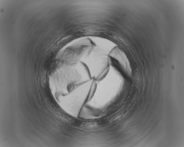 X0000062640554200601181747