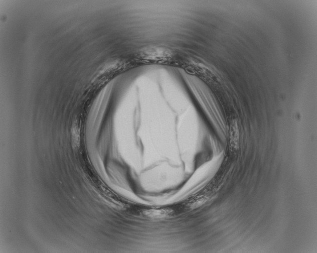 X0000062640558200601181747